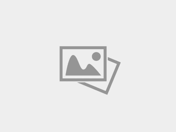 Муниципальный этап Всероссийского конкурса «Воспитатель года России».